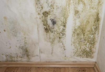 Khám phá máy mài sàn bê tông và nguyên nhân khiến tường bị ẩm mốc