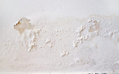 Nguyên nhân và cách khắc phục lỗi khi sơn, khi dùng máy mài nền bê tông